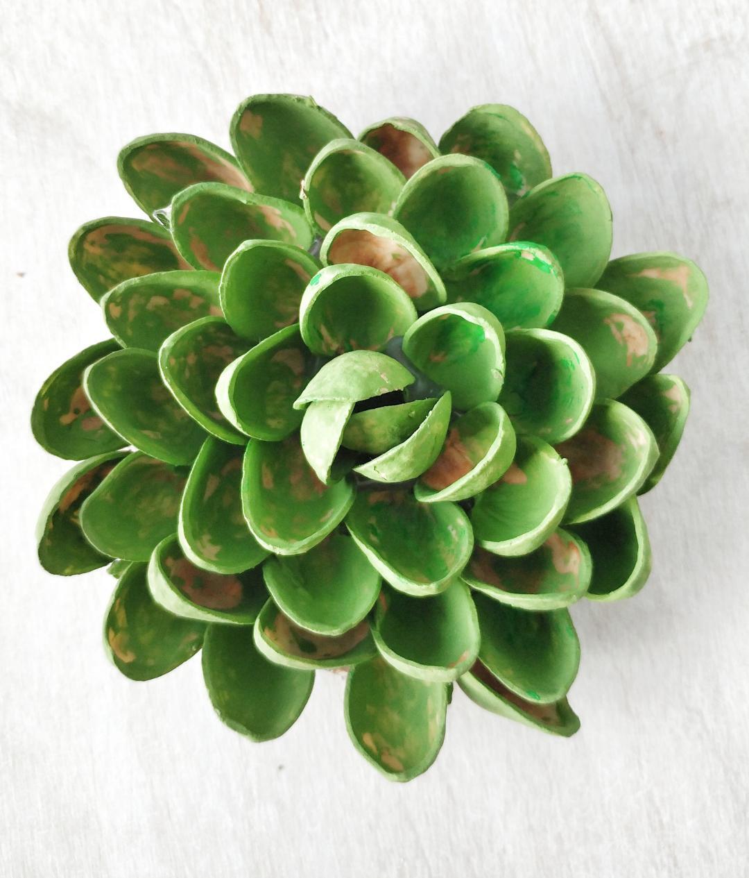 An easy Pistachio Shell Succulent Craft Reaching Happy