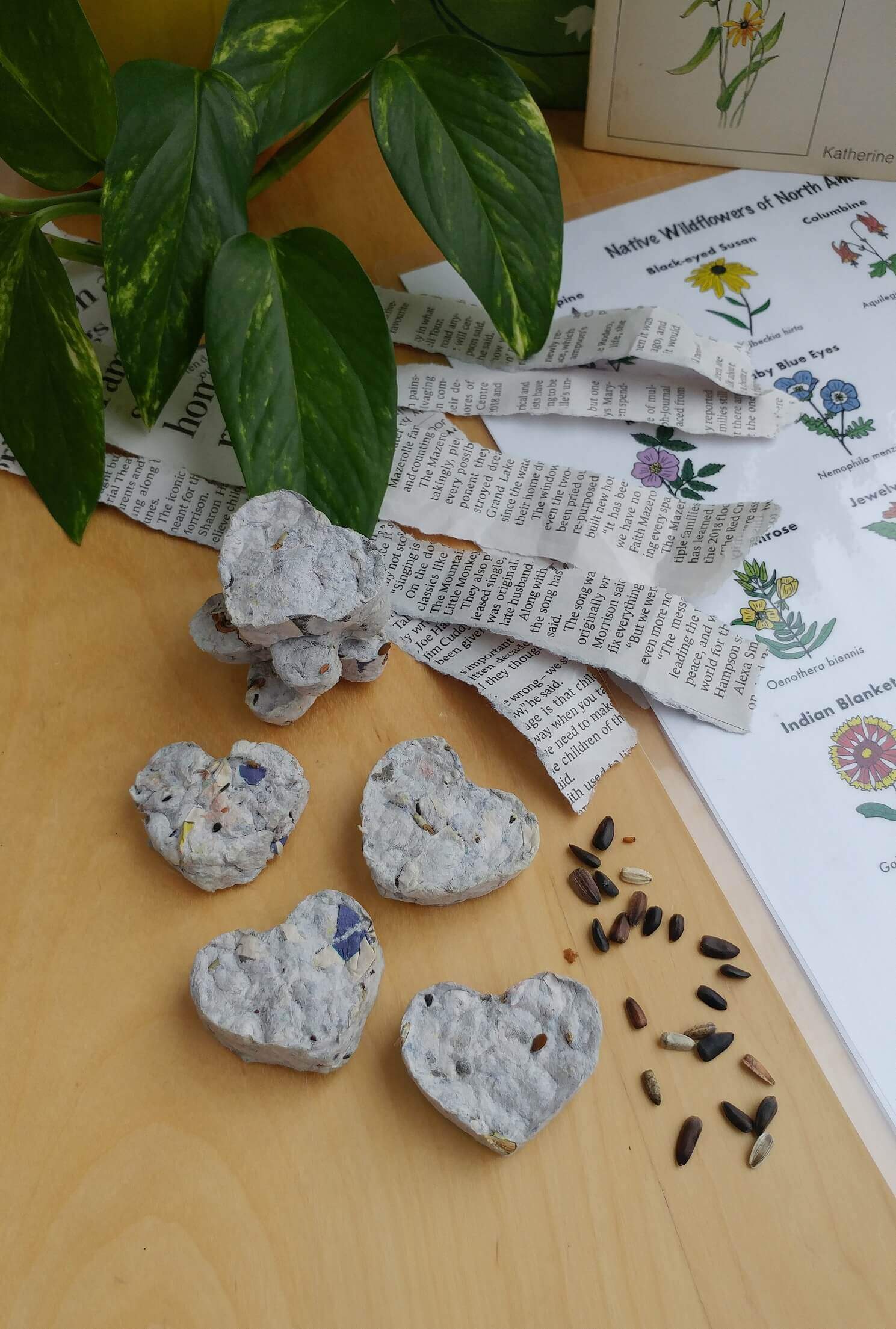 Make Recycled Seed Paper