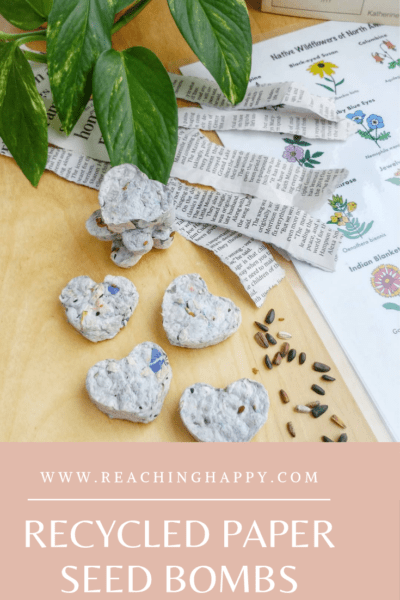 Recycled Seed Paper and Seed Bombs Perfect for End of School Year